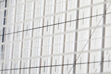 Stripology© Quarters MINI Ruler CGRGE4