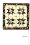 Stars Across America, Quilt in a Day Book from Eleanor Burns